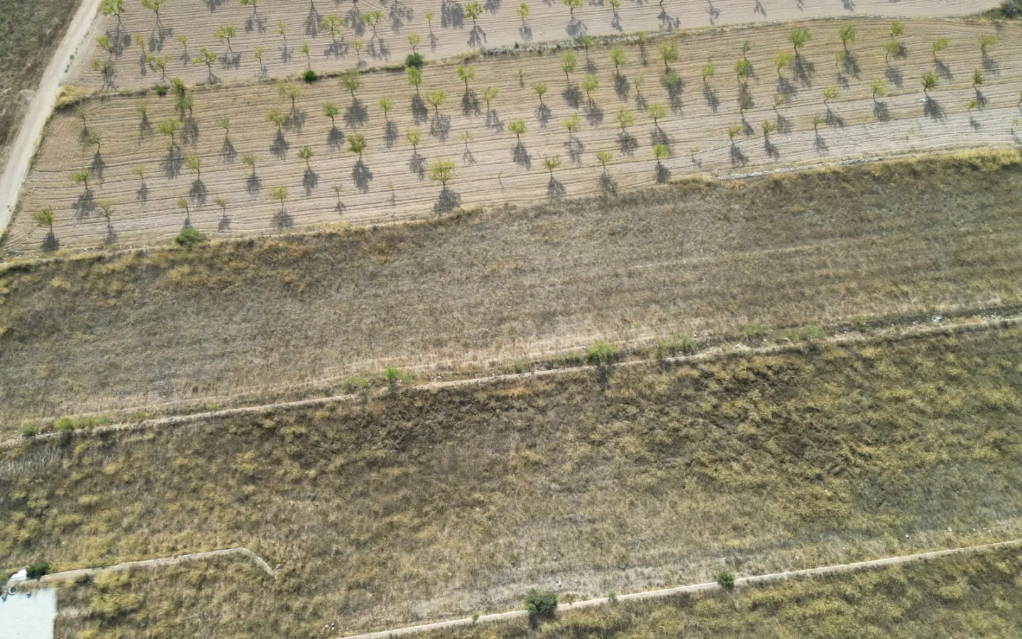 Land Of 0 M² In Pinoso, Spain