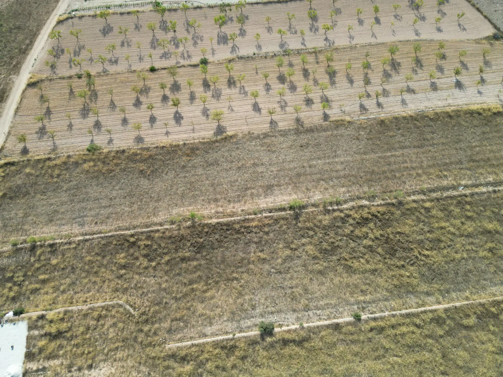 Land Of 0 M² In Pinoso, Spain