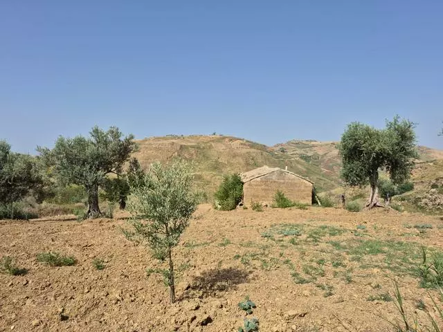 Rural Building With Land In Sicily – Contrada Castellaccio