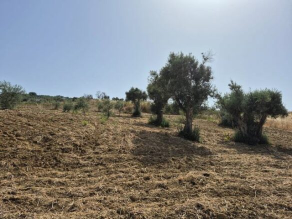 Rural Building With Land In Sicily – Contrada Castellaccio
