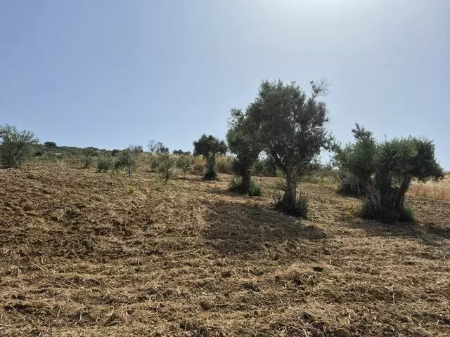 Rural Building With Land In Sicily – Contrada Castellaccio