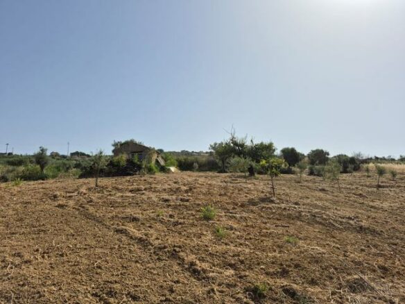 Rural Building With Land In Sicily – Contrada Castellaccio