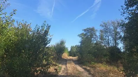 Excellent Plot Of Land For Sale