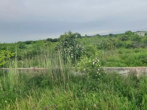 Excellent Plot Of Land For Sale