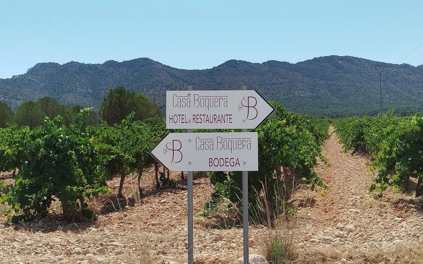 Country House Of 25000 M² In Yecla, Spain