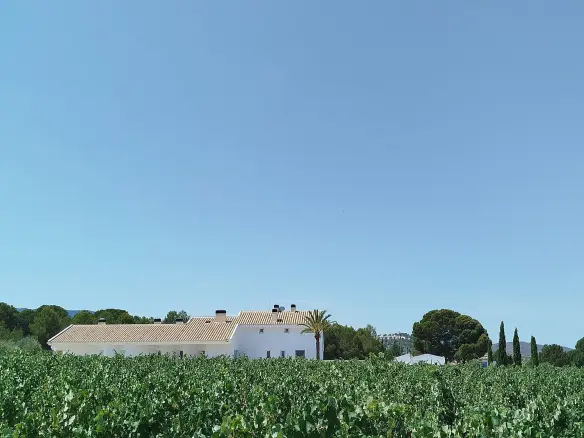 11-bedroom Country House In Yecla, Spain (25.000 M²)