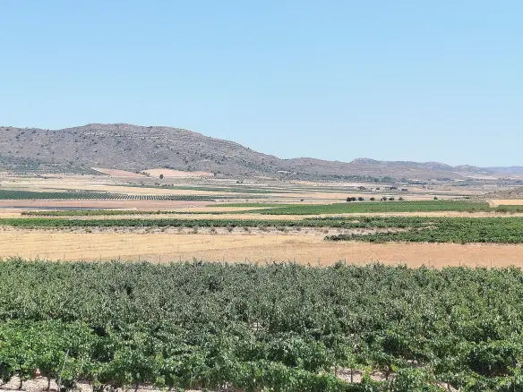 11-bedroom Country House In Yecla, Spain (25.000 M²)