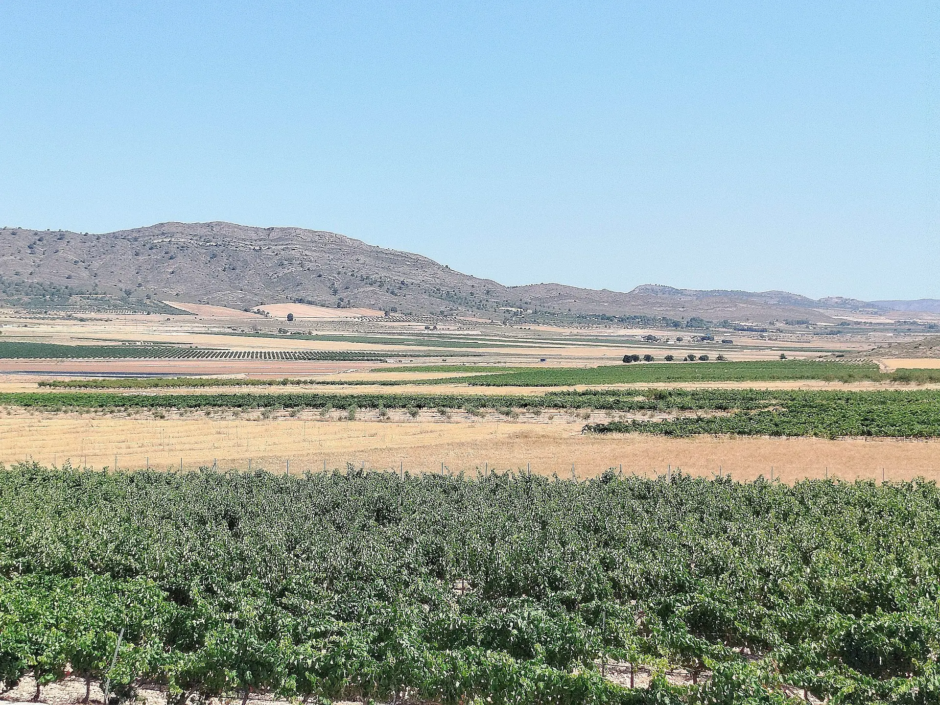 Country House Of 25000 M² In Yecla, Spain