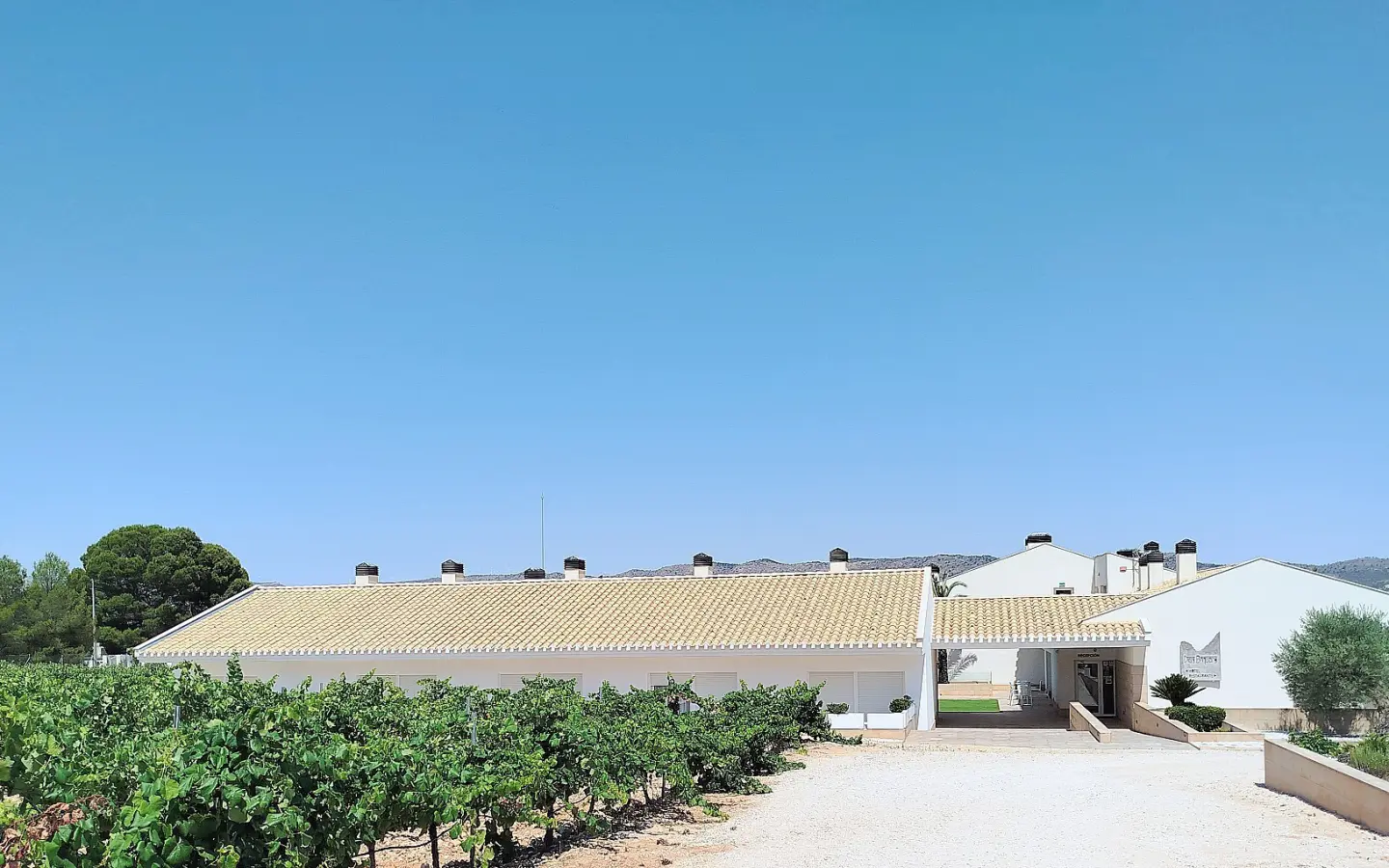 Country House Of 25000 M² In Yecla, Spain