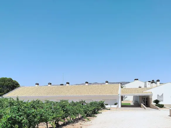 11-bedroom Country House In Yecla, Spain (25.000 M²)