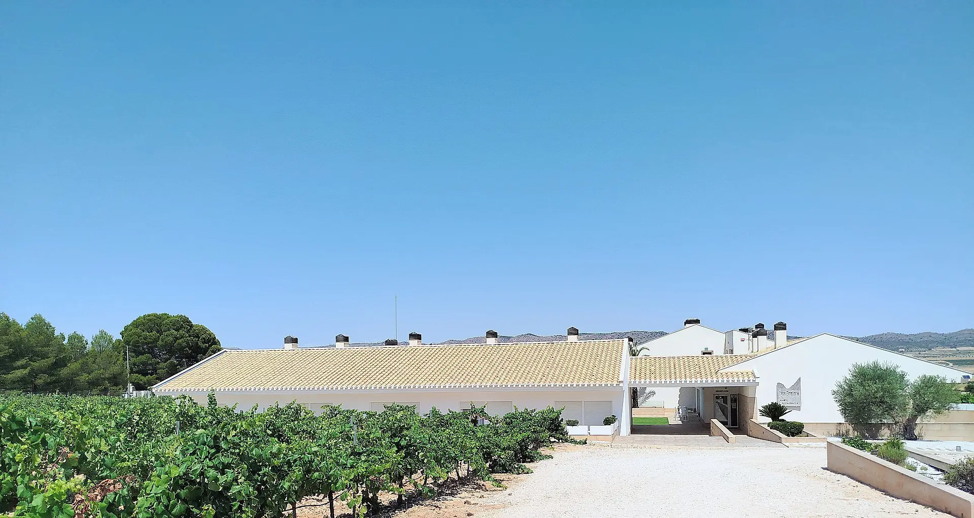 Country House Of 25000 M² In Yecla, Spain