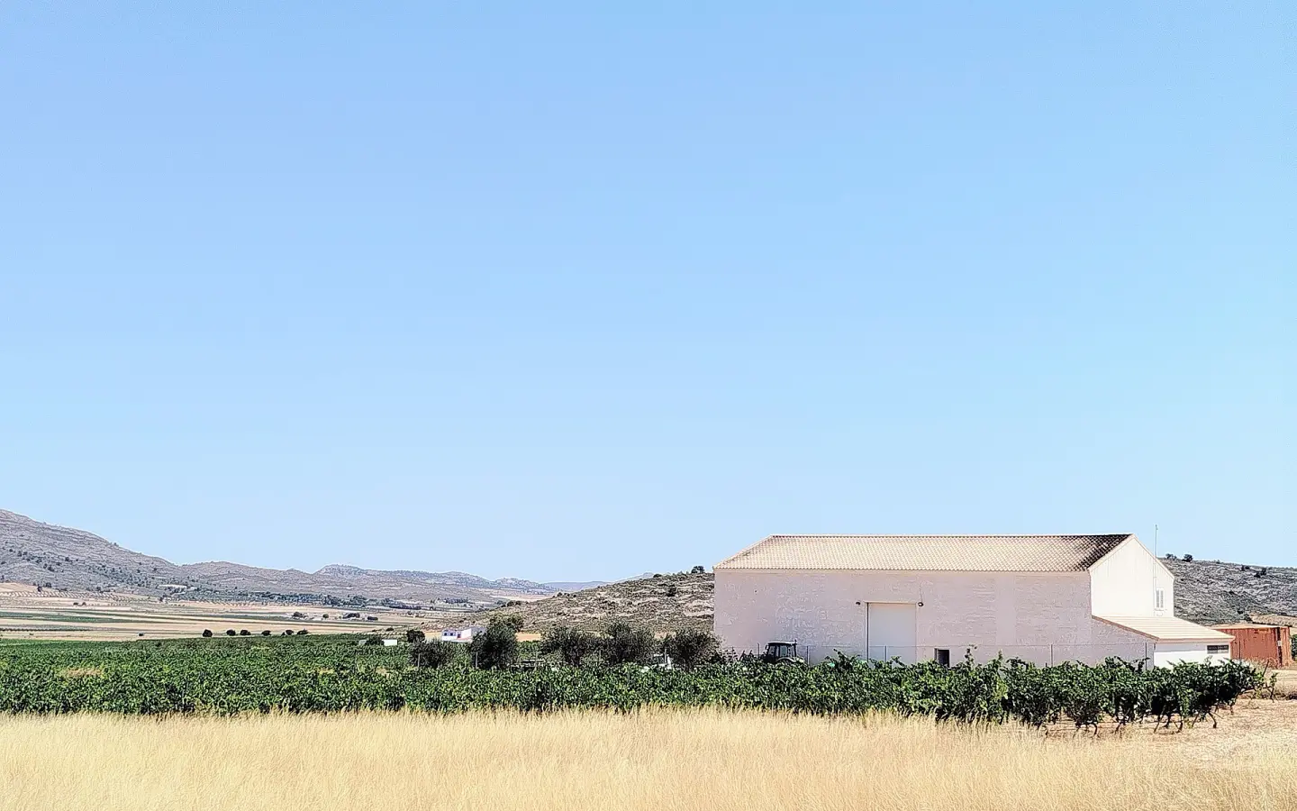 Country House Of 25000 M² In Yecla, Spain