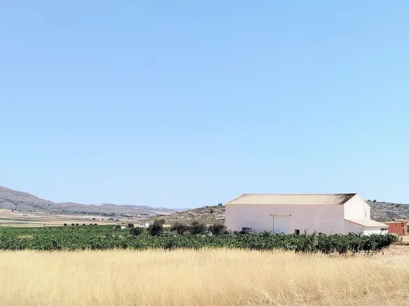11-bedroom Country House In Yecla, Spain (25.000 M²)