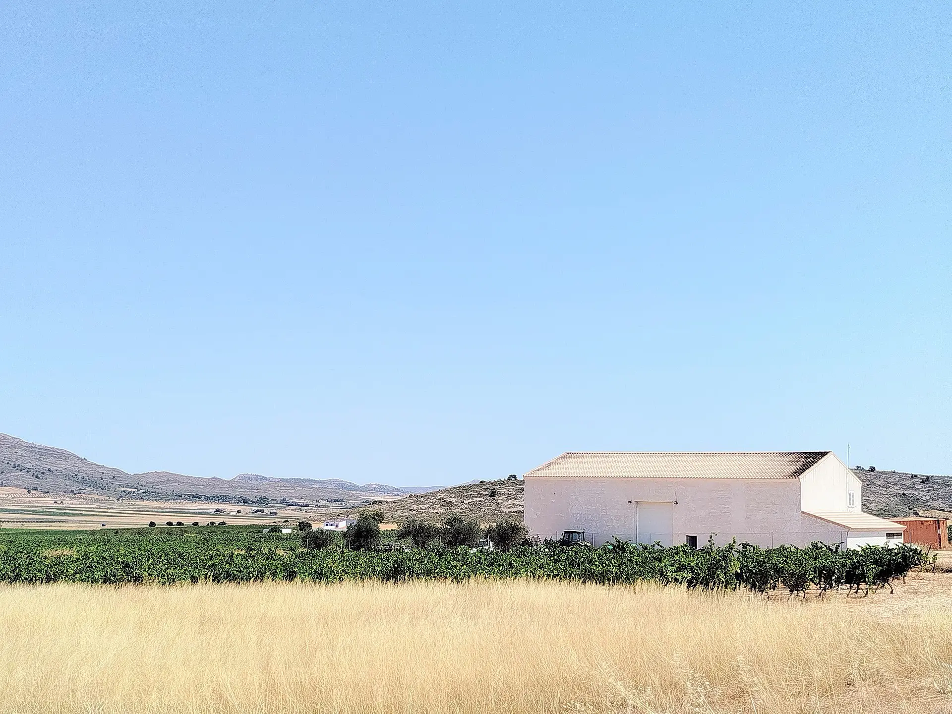 Country House Of 25000 M² In Yecla, Spain