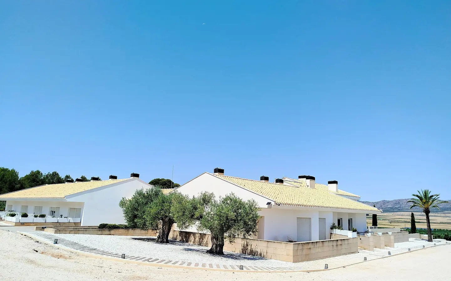 Country House Of 25000 M² In Yecla, Spain