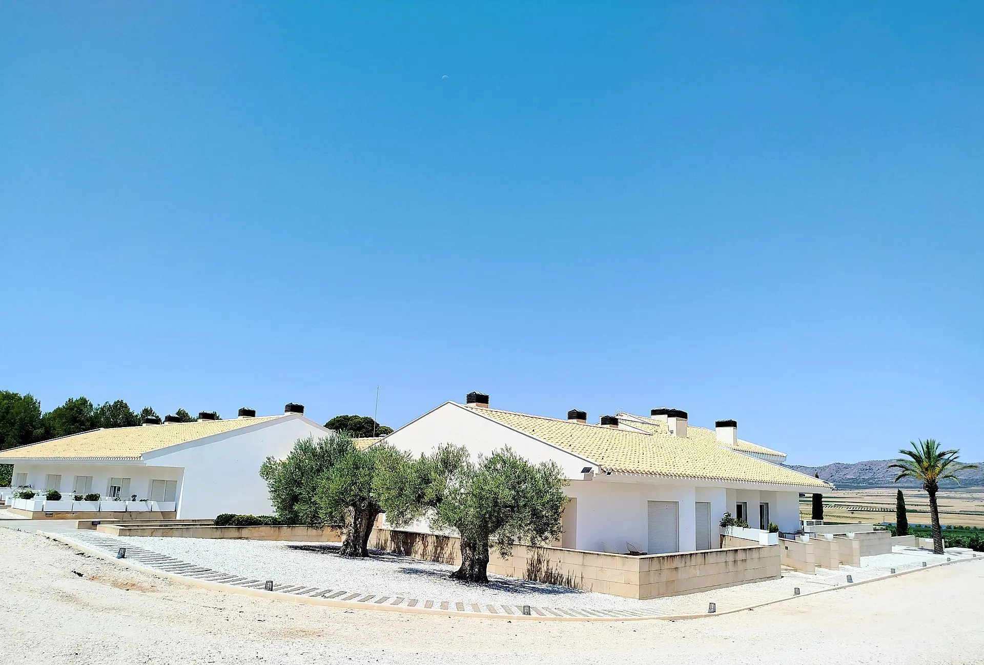 Country House Of 25000 M² In Yecla, Spain