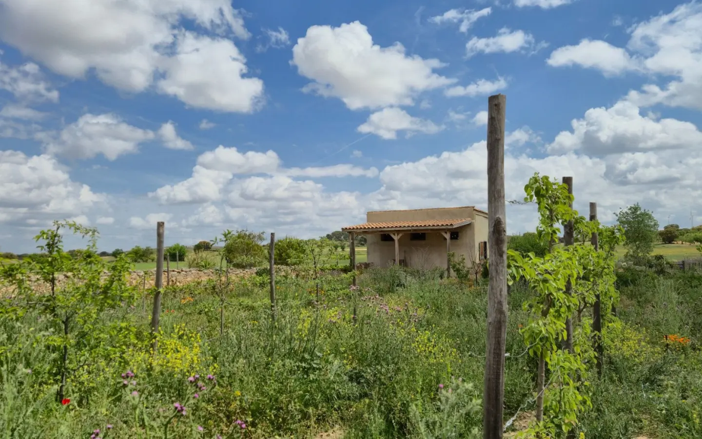 Commercial Of 622 M² In Almansa, Spain