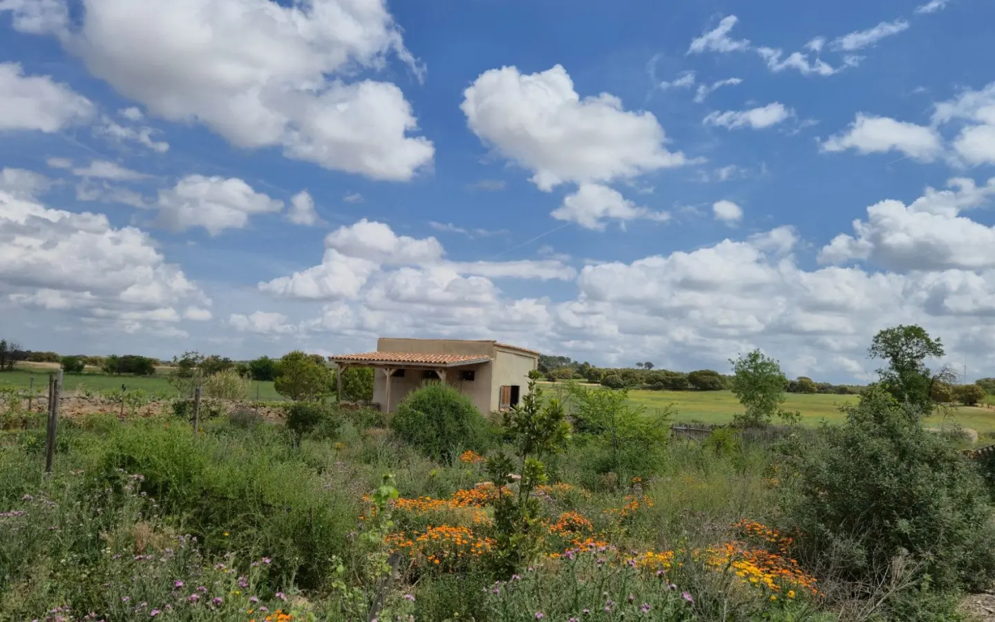 Commercial Of 622 M² In Almansa, Spain