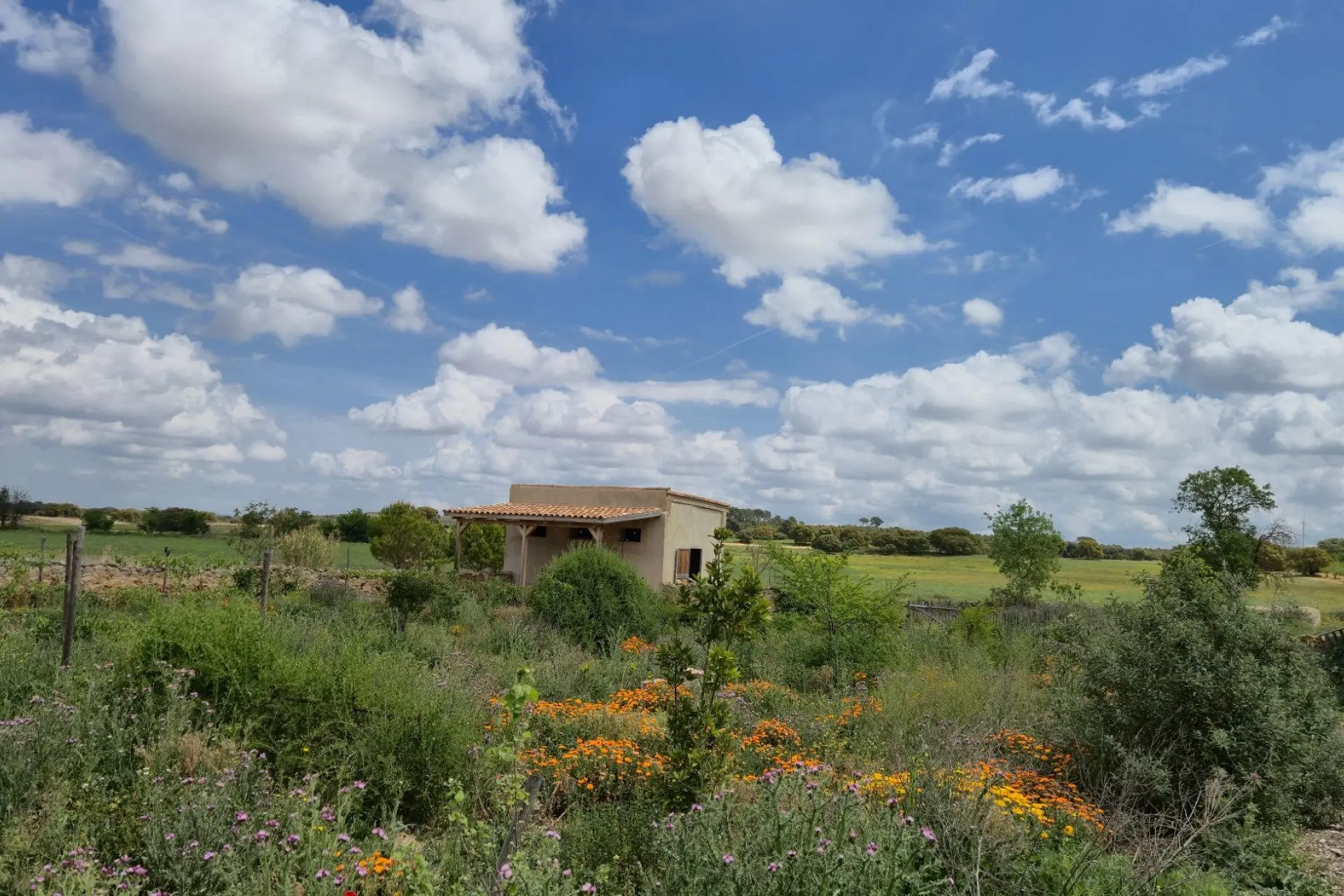 Commercial Of 622 M² In Almansa, Spain