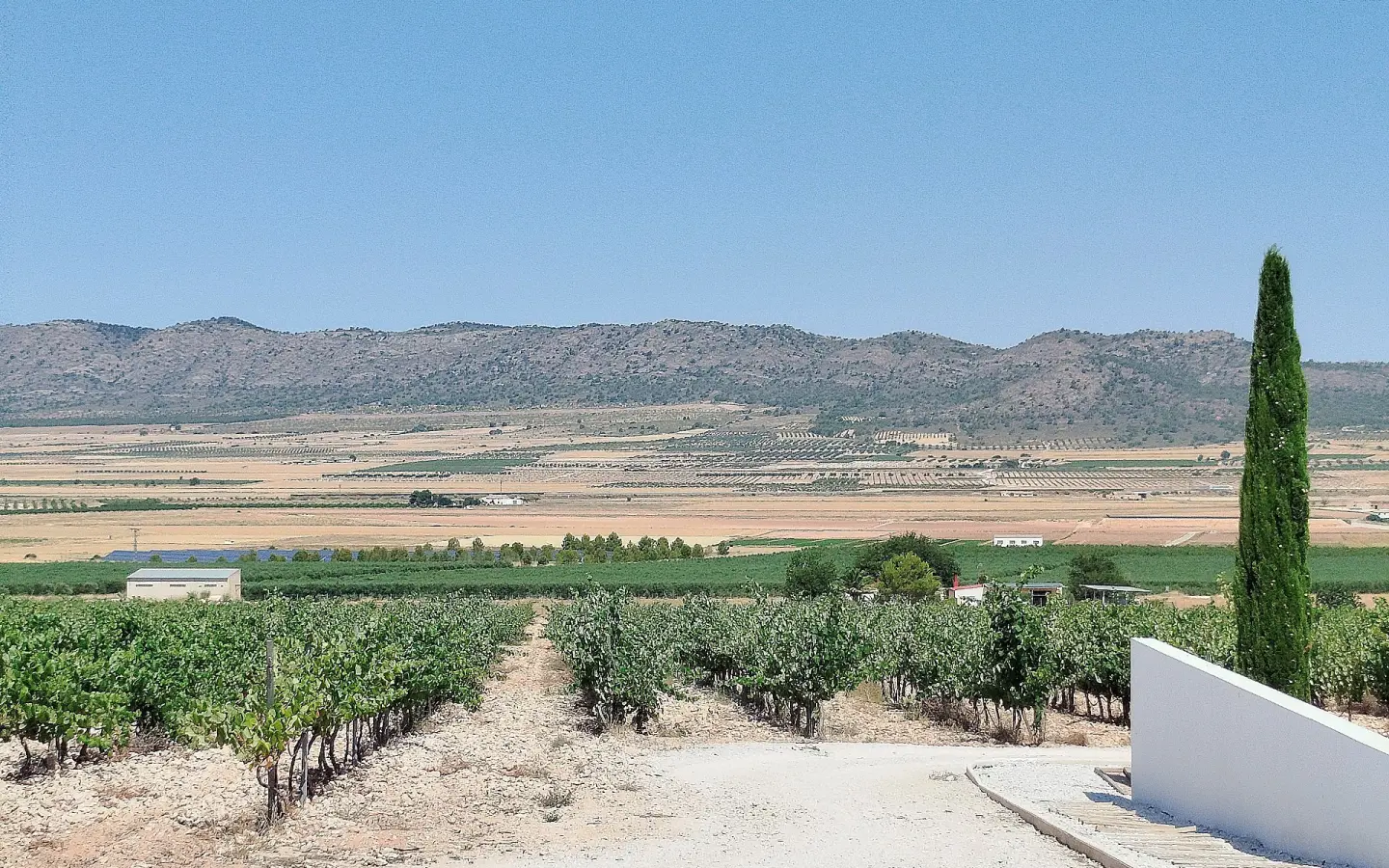 Country House Of 25000 M² In Yecla, Spain
