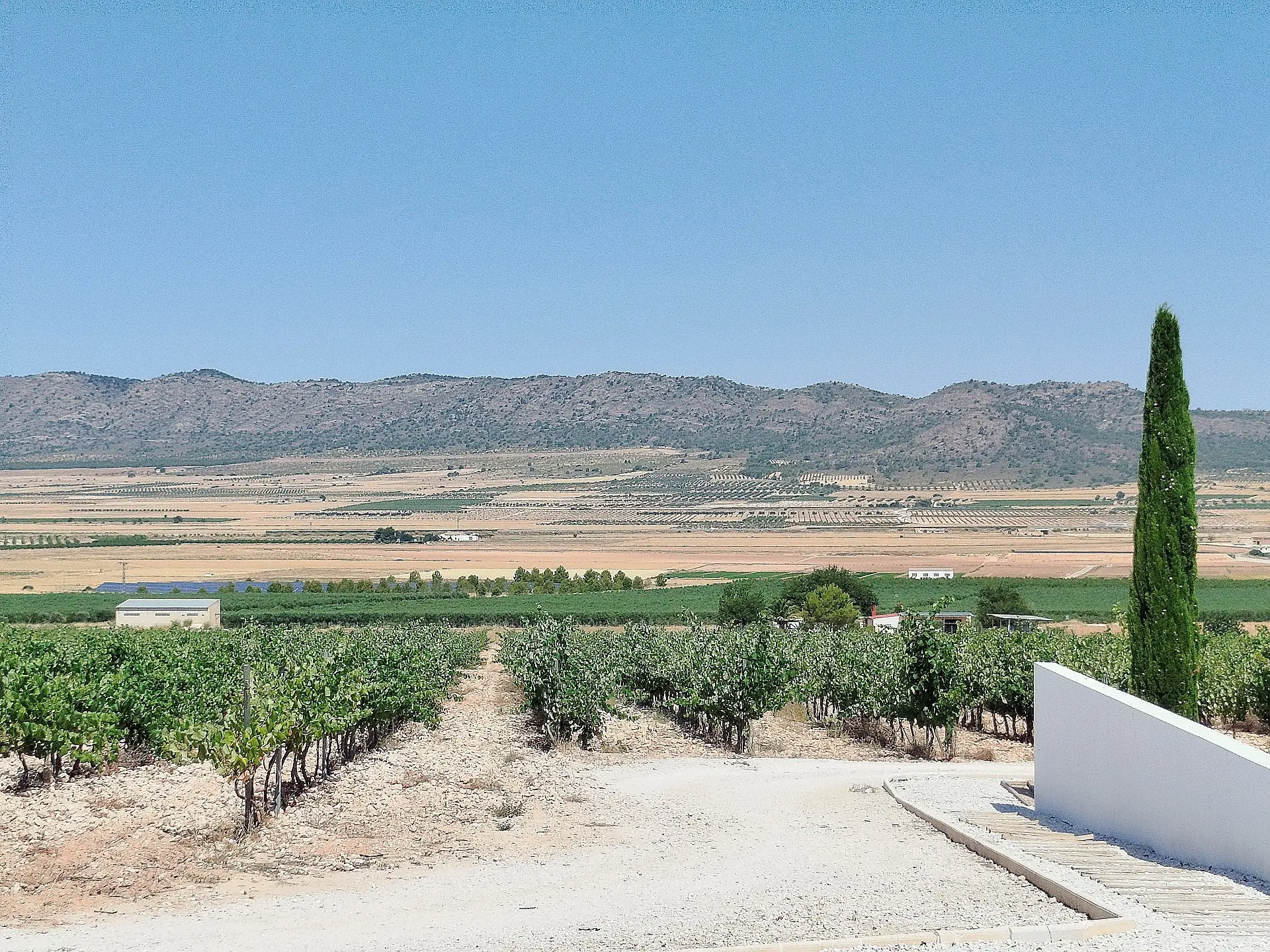 Country House Of 25000 M² In Yecla, Spain