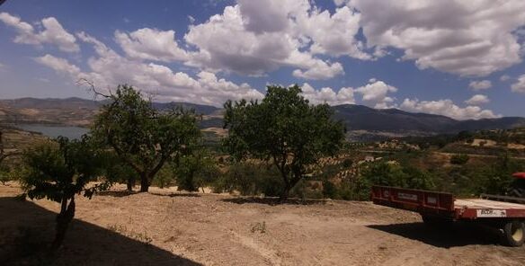 Villa Of 1000 M² With Panoramic View In Salvo Cda Boschetto, Alessandria