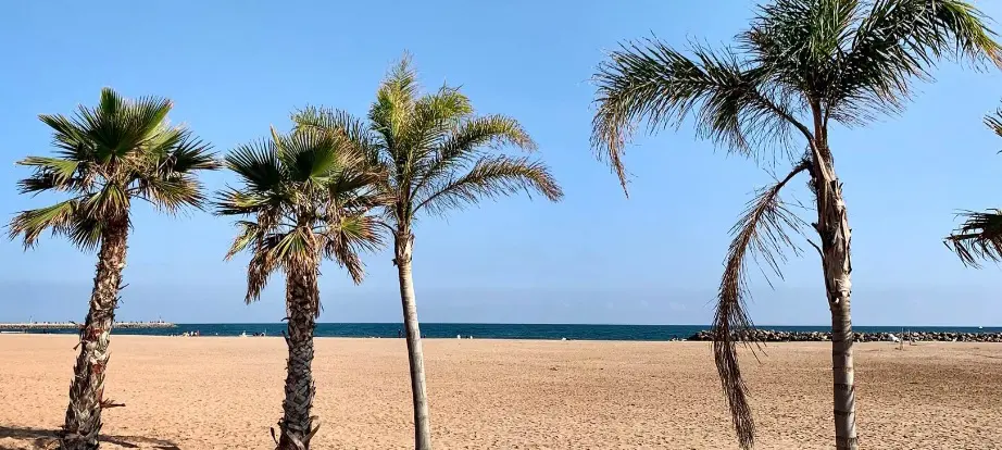 Apartment Of 45 M² In Valras Plage