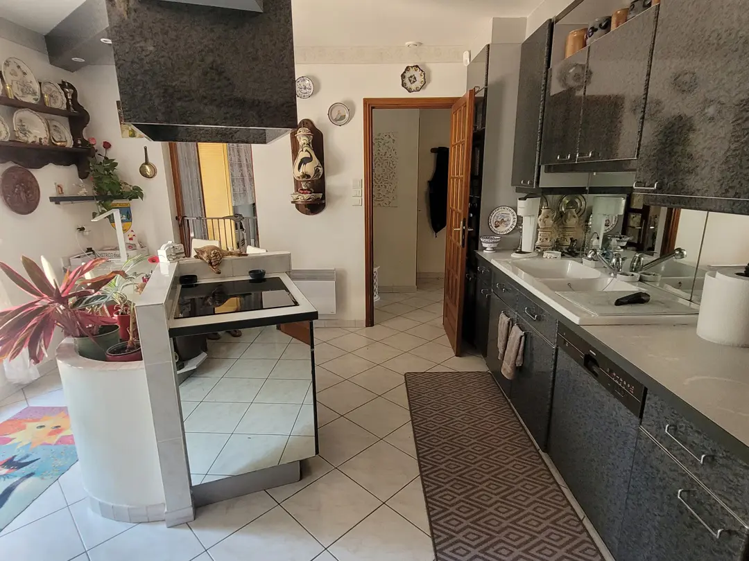 Detached House Of 251 M² In Meze, France