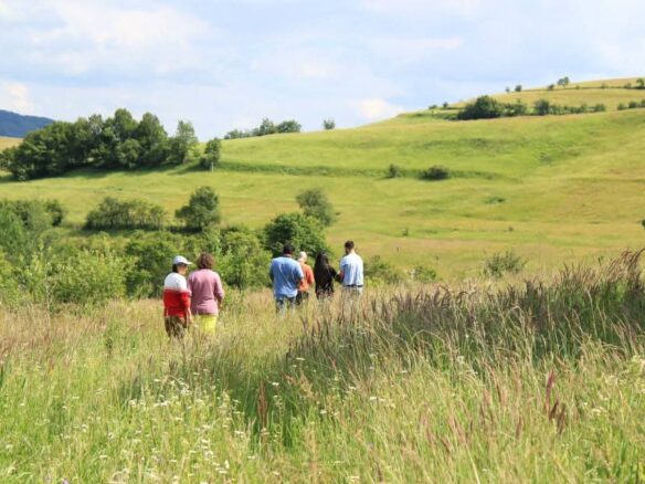 Land Of 77742 M² In Transylvania