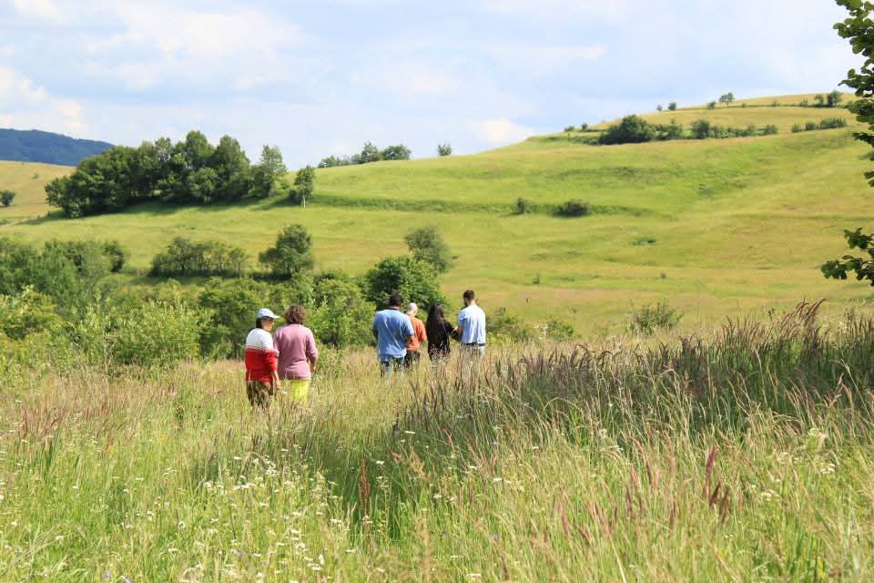 Land Of 0 M² In Transylvania