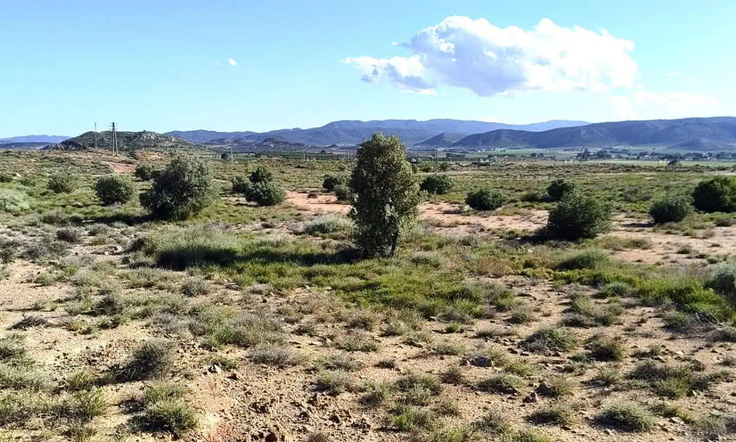Country Land Of 0 M² In Villena, Spain