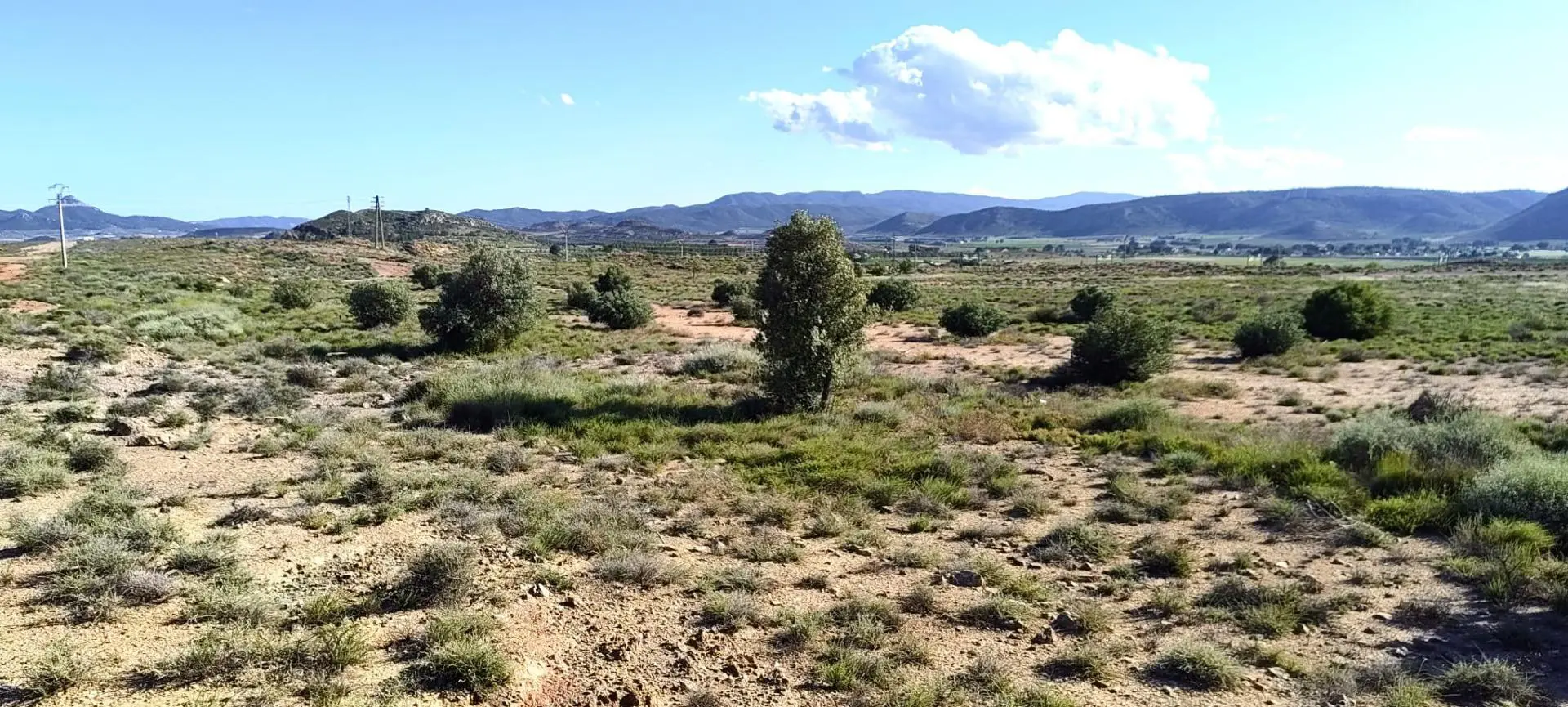 Country Land Of 0 M² In Villena, Spain