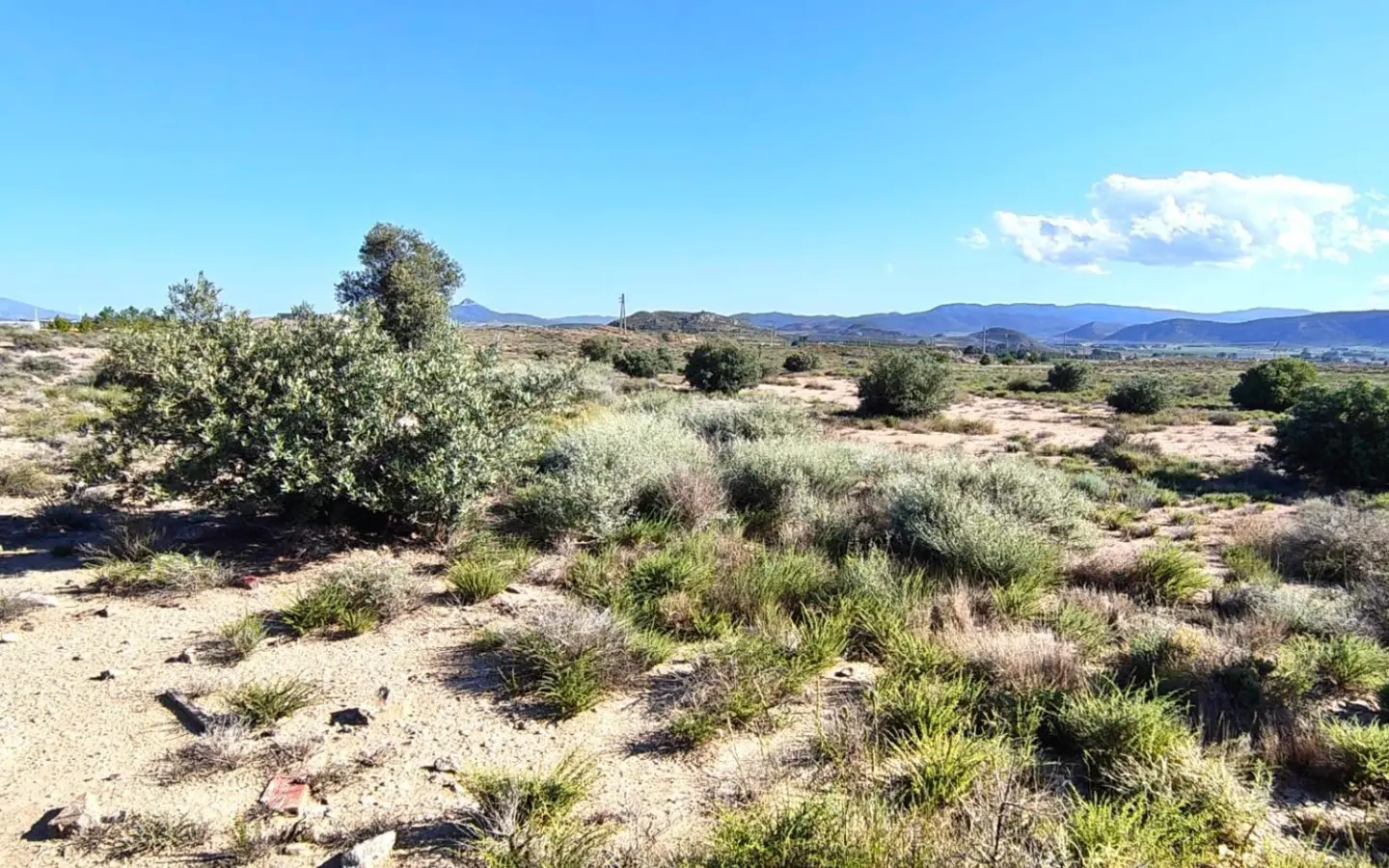Country Land Of 0 M² In Villena, Spain