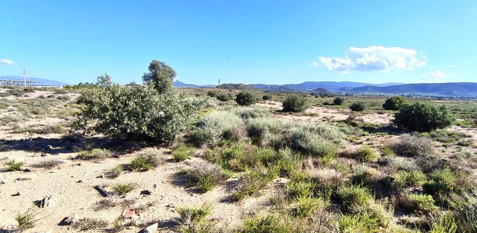 Country Land Of 0 M² In Villena, Spain