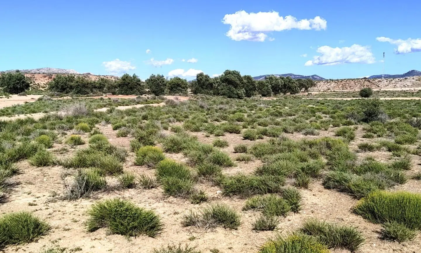 Country Land Of 0 M² In Villena, Spain