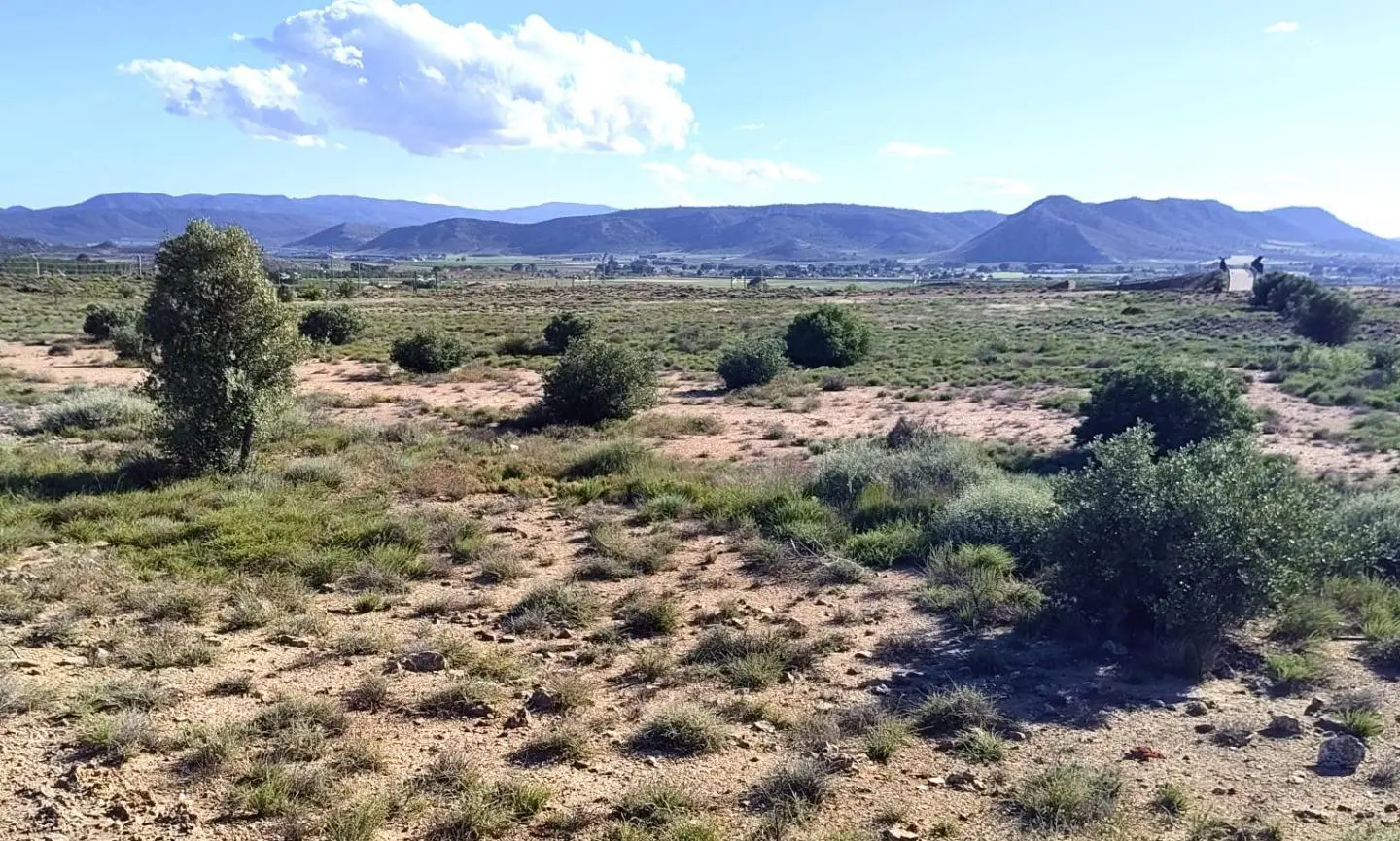 Country Land Of 0 M² In Villena, Spain