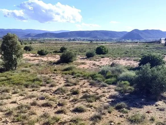 Country Land In Villena, Spain (17.056 M² Plot)