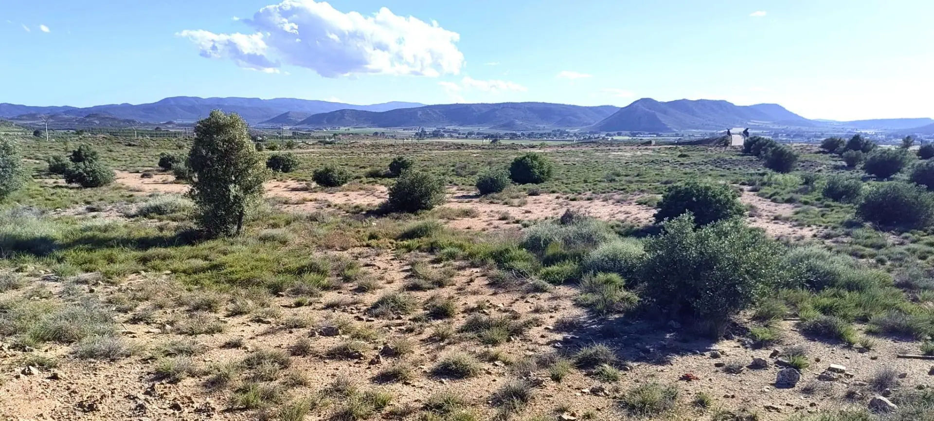 Country Land Of 0 M² In Villena, Spain