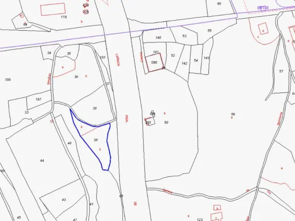 Country Land In Villena, Spain (17.056 M² Plot)