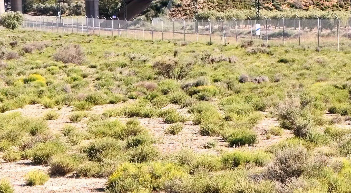 Country Land Of 0 M² In Villena, Spain