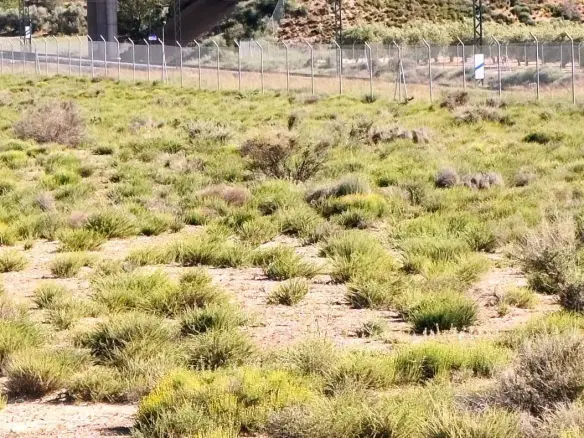 Country Land In Villena, Spain (18 M² Plot)