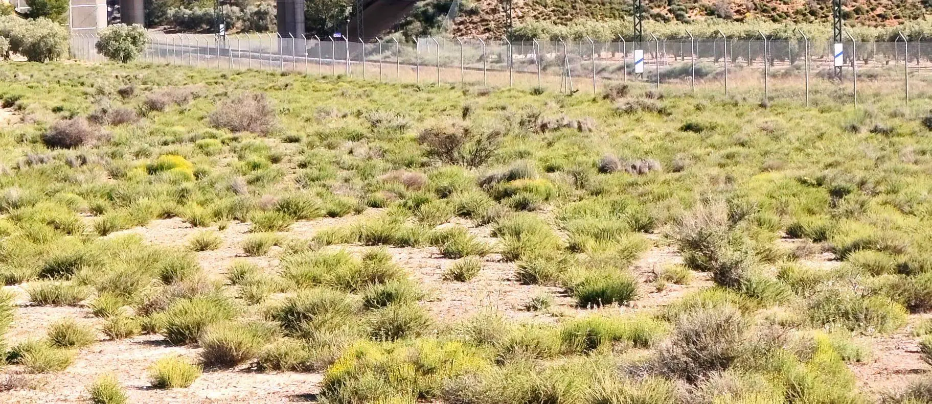 Country Land Of 0 M² In Villena, Spain