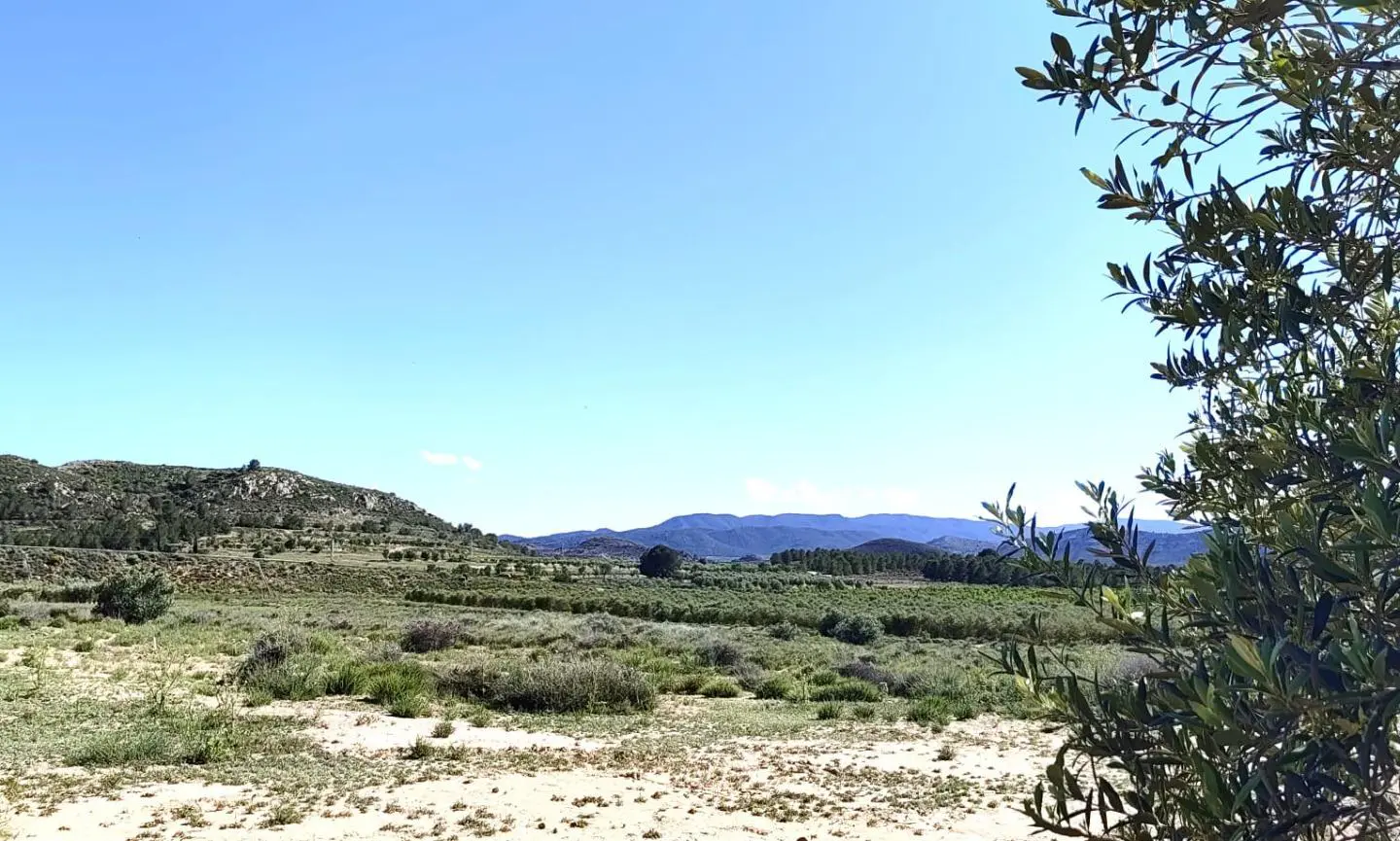 Country Land Of 0 M² In Villena, Spain