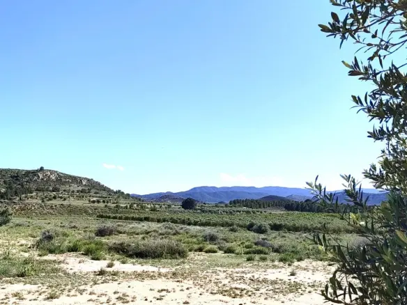 Country Land In Villena, Spain (18 M² Plot)
