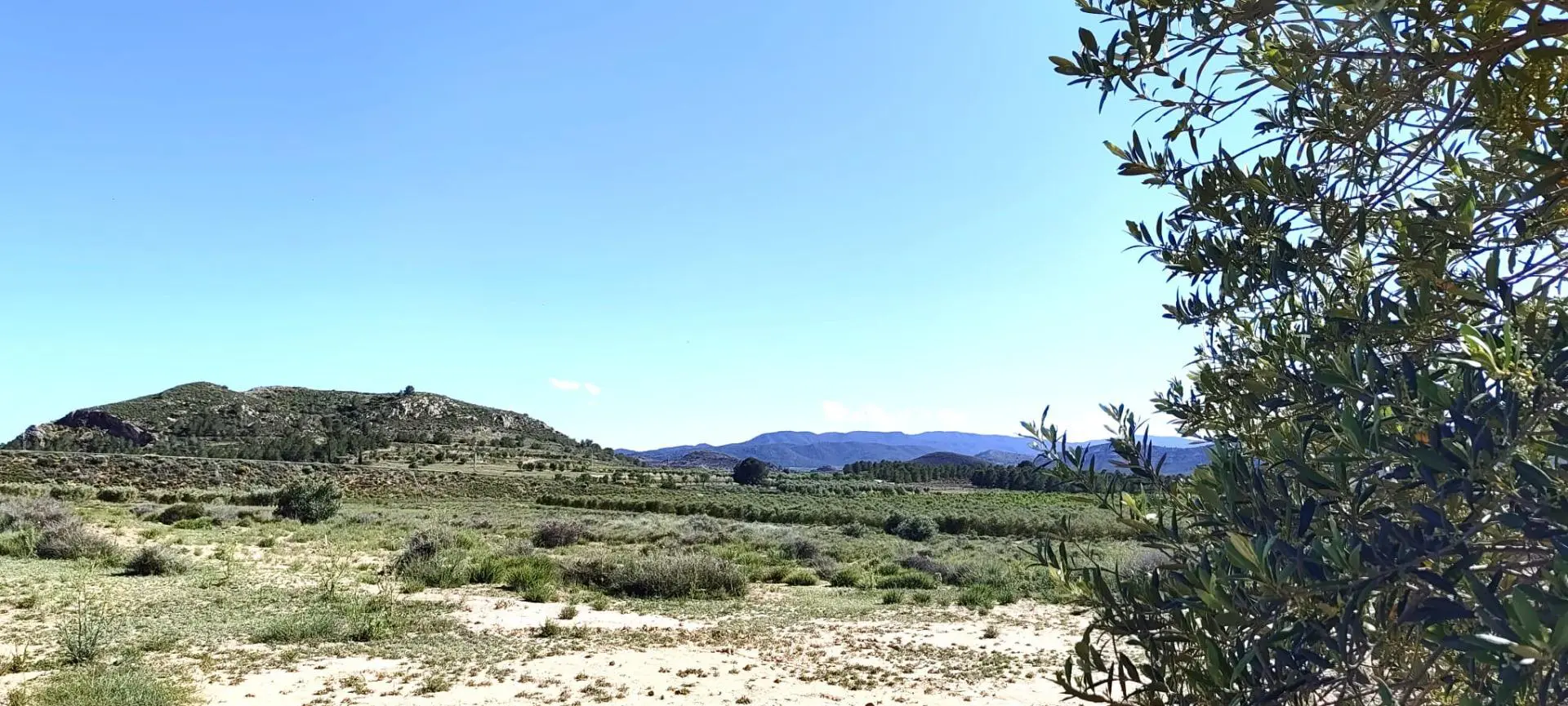 Country Land Of 0 M² In Villena, Spain