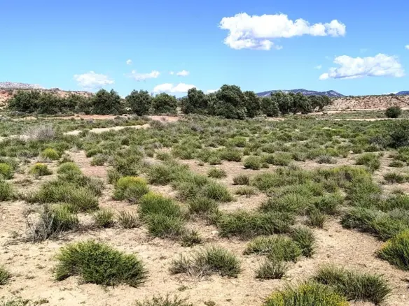 Country Land In Villena, Spain (18 M² Plot)