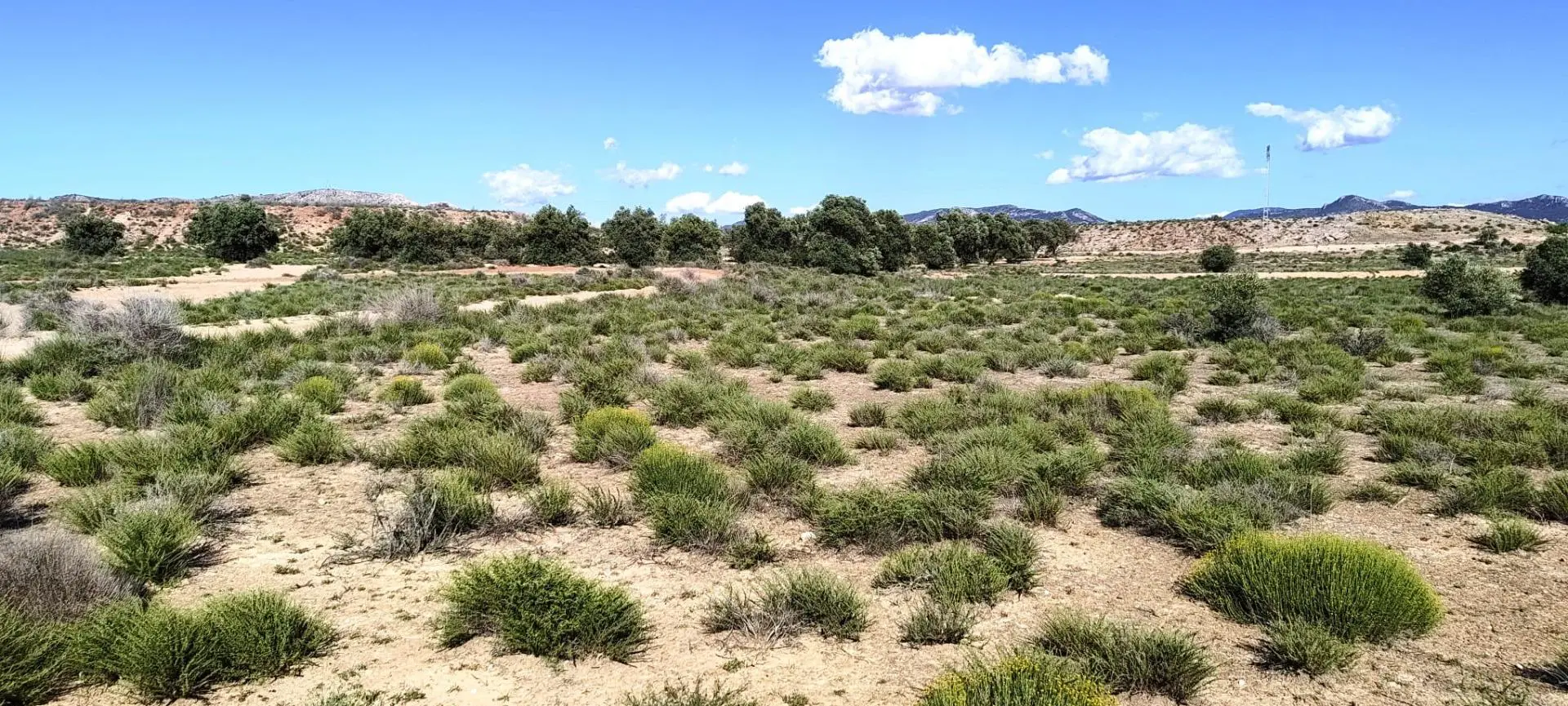 Country Land Of 0 M² In Villena, Spain