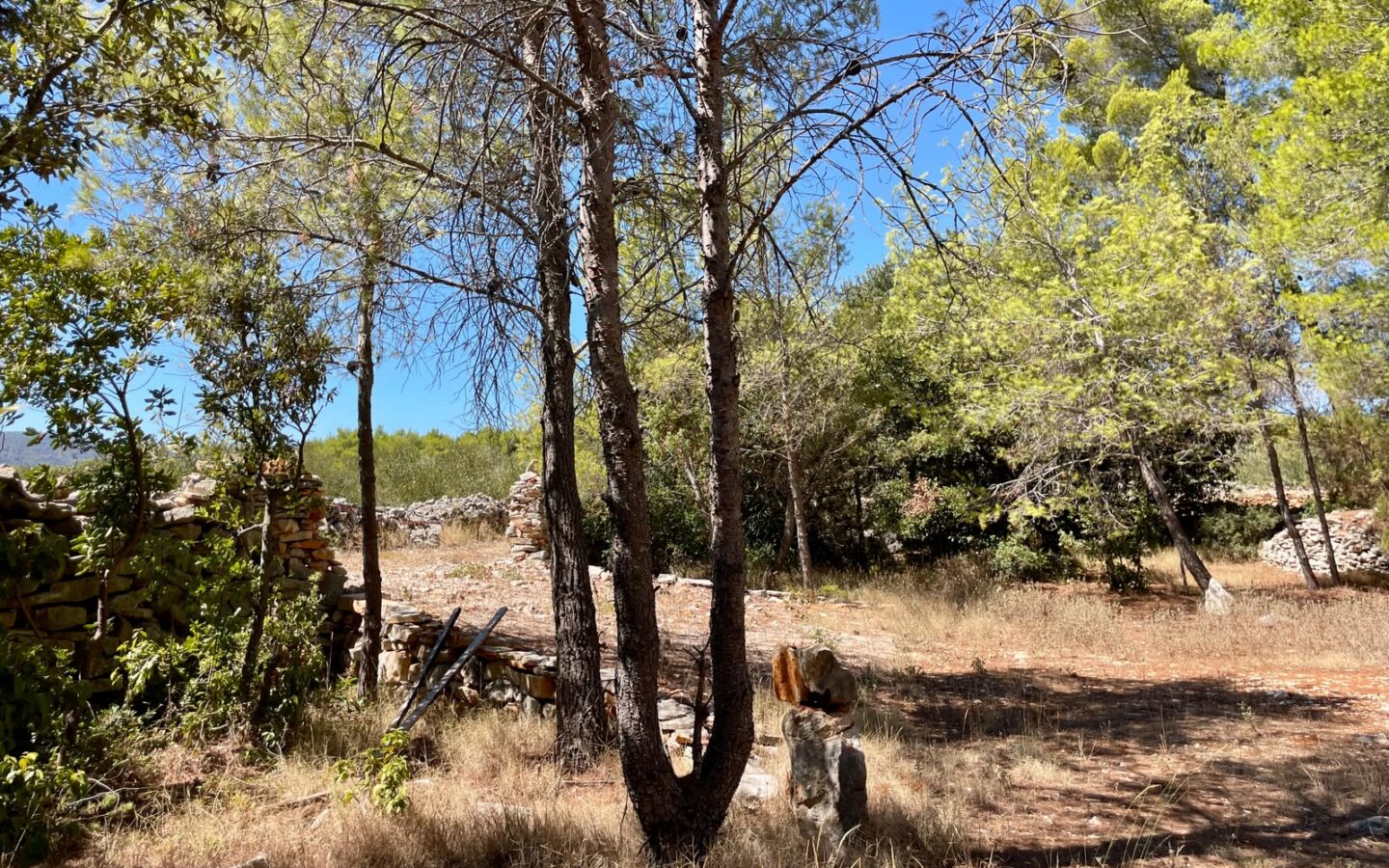 Forest Shade, Lavender And Fruit Trees: Your Own Small Piece Of Hvar