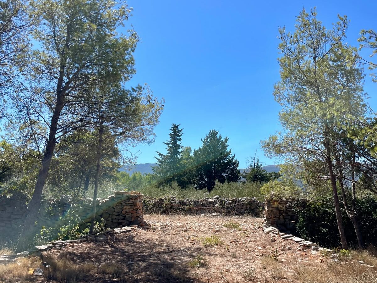 Forest Shade, Lavender And Fruit Trees: Your Own Small Piece Of Hvar