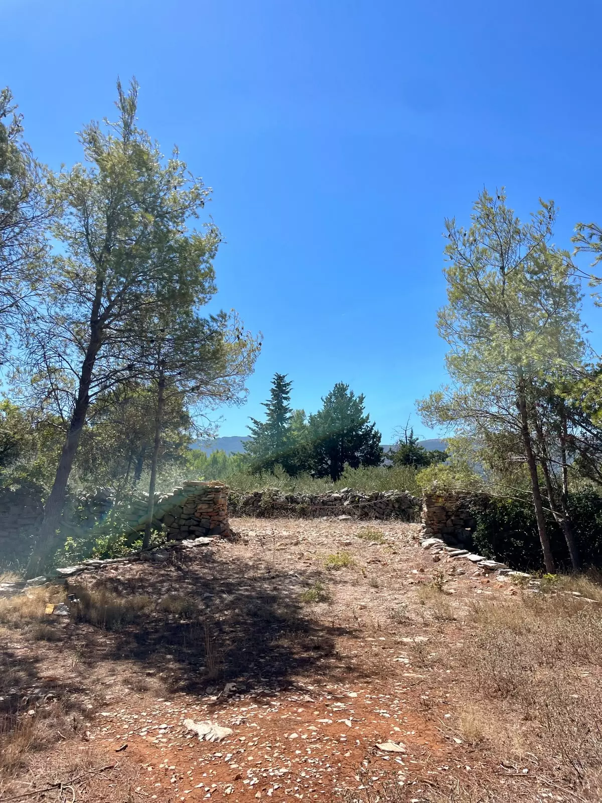 Forest Shade, Lavender And Fruit Trees: Your Own Small Piece Of Hvar